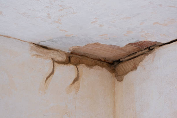 Best Basement water damage restoration  in Abbeville, SC