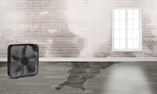 Best Residential water damage restoration  in Abbeville, SC