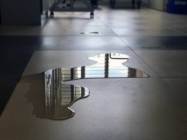 Best Professional water damage repair  in Abbeville, SC