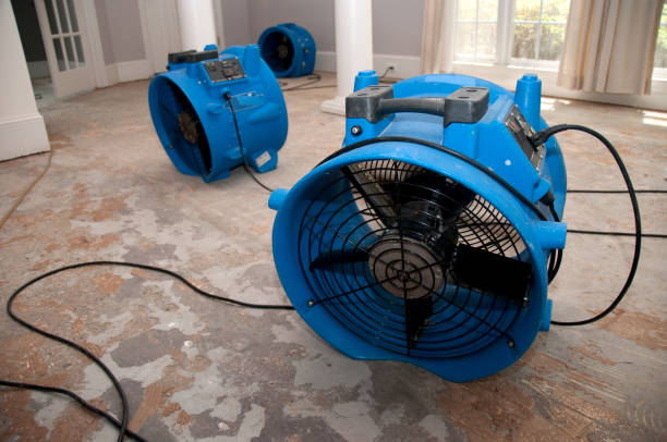 Best Water damage restoration services  in Abbeville, SC
