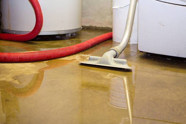 Best Carpet water damage restoration  in Abbeville, SC