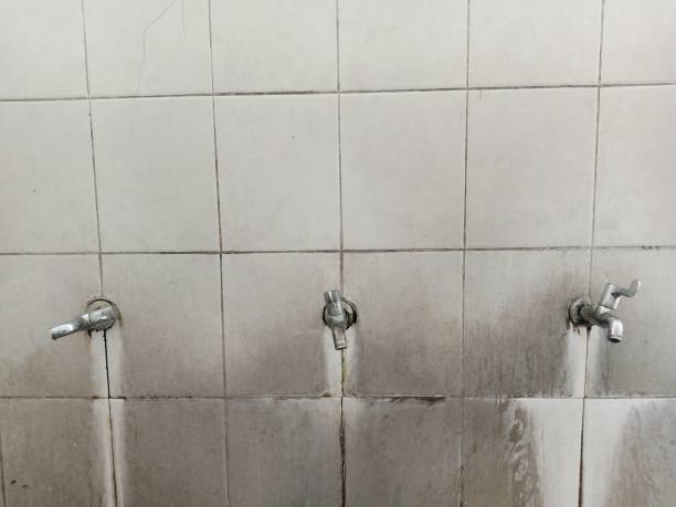 Best Water damage cleanup near me  in Abbeville, SC