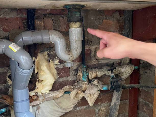 Best Sewage cleanup and water damage restoration  in Abbeville, SC
