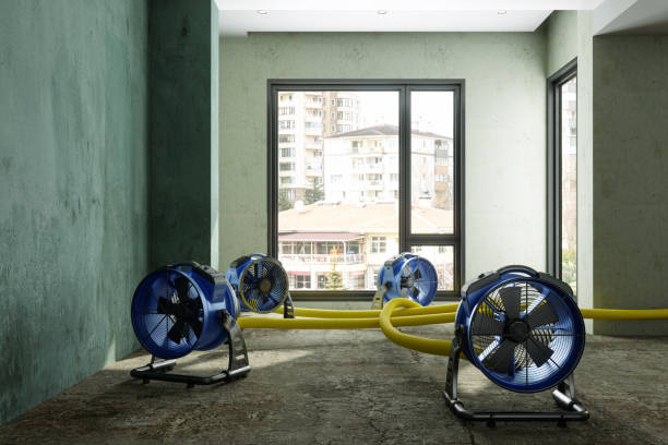 Best Water damage restoration near me  in Abbeville, SC